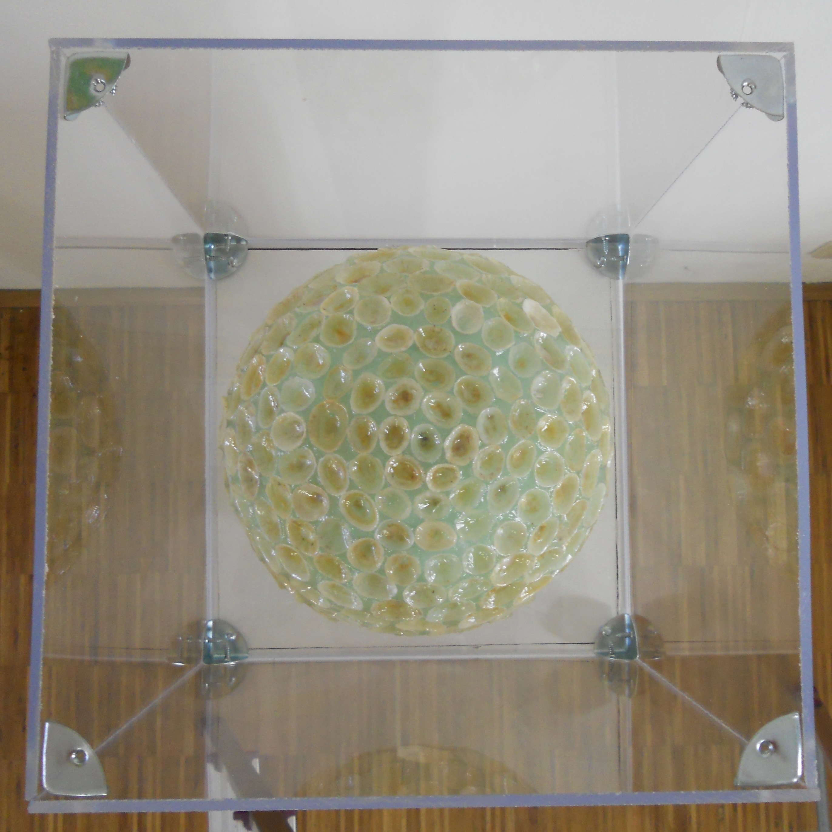 MW 31 (Hohe Aufl&ouml;sung)